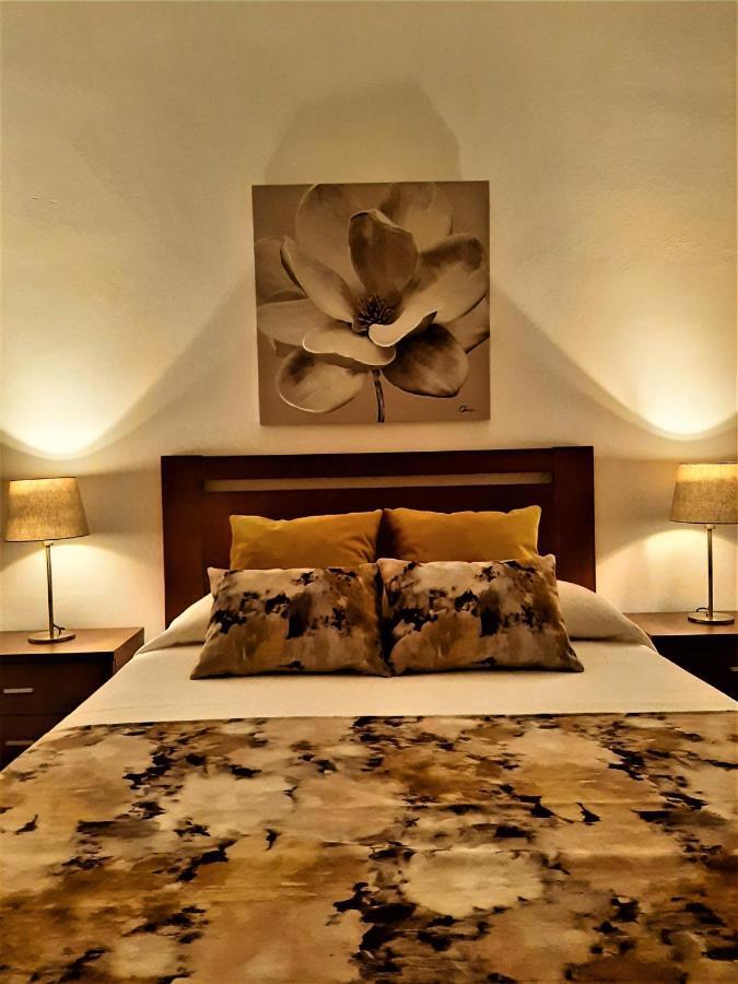 Alojamento Ferreira - Apartamento B Daire Santiago do Cacém Dış mekan fotoğraf